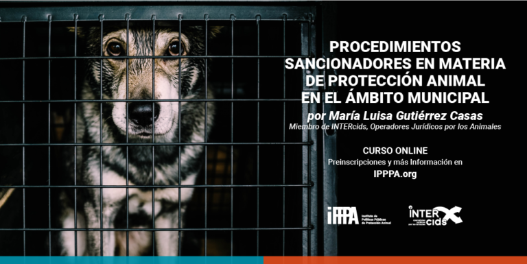 Procedimientos sancionadores en materia de protecci&oacute;n animal en el &aacute;mbito municipal