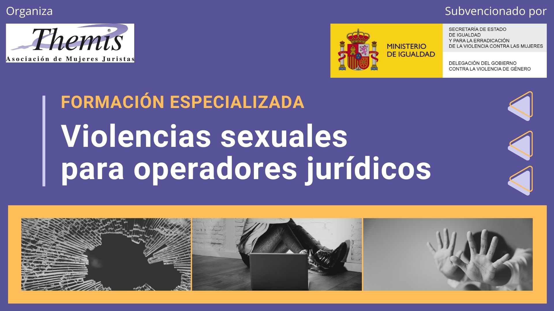 Violencias sexuales para operadores jur&iacute;dicos 